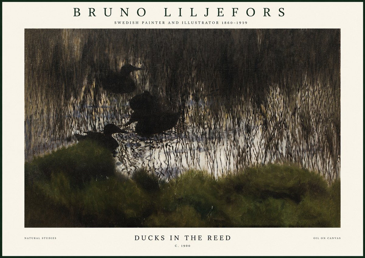 Bruno Liljefors Ducks in the Reed No1 - Poszter