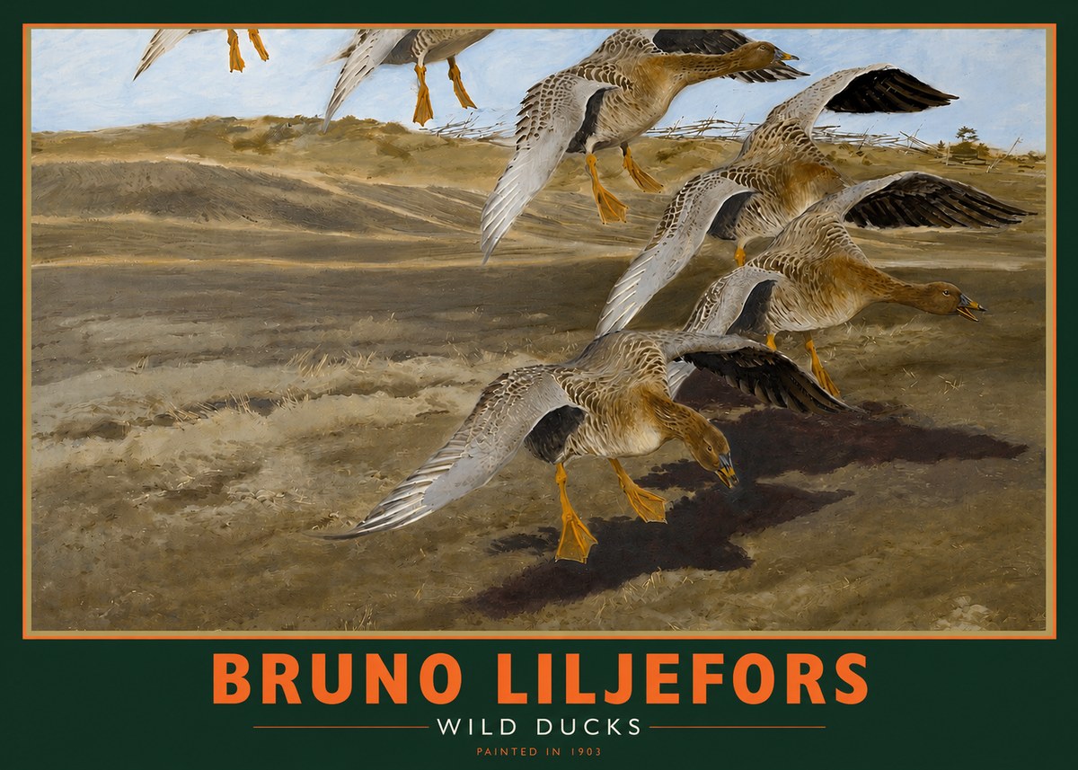 Bruno Liljefors Wild Ducks I No2 - Poszter