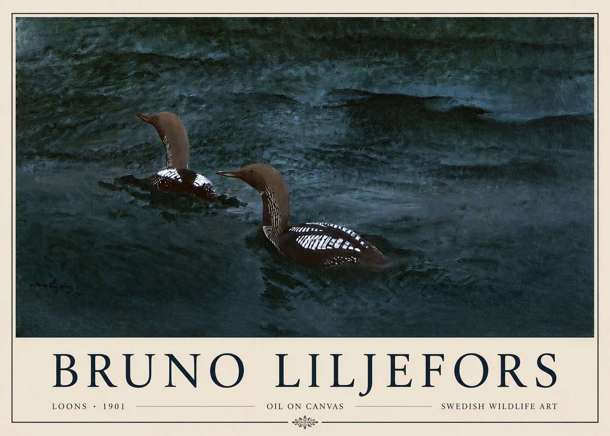 Bruno Liljefors Loons · 1901 No3 - Poszter