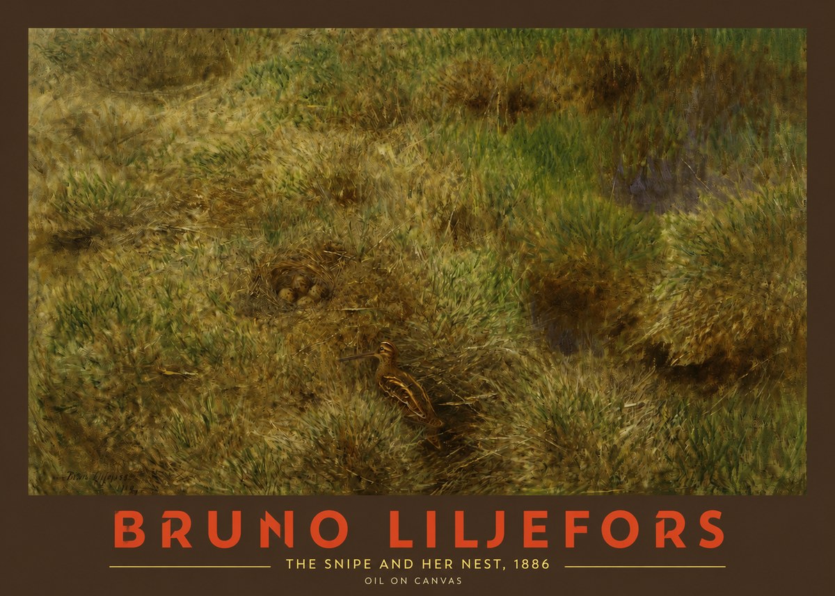 Bruno Liljefors The Snipe and Her Nest No2 - Poszter