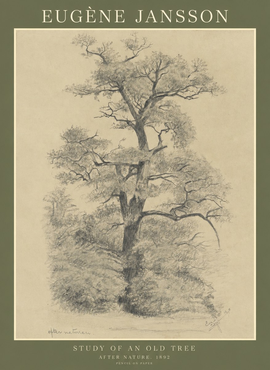 Eugène Jansson Study of an Old Tree No1 - Poszter