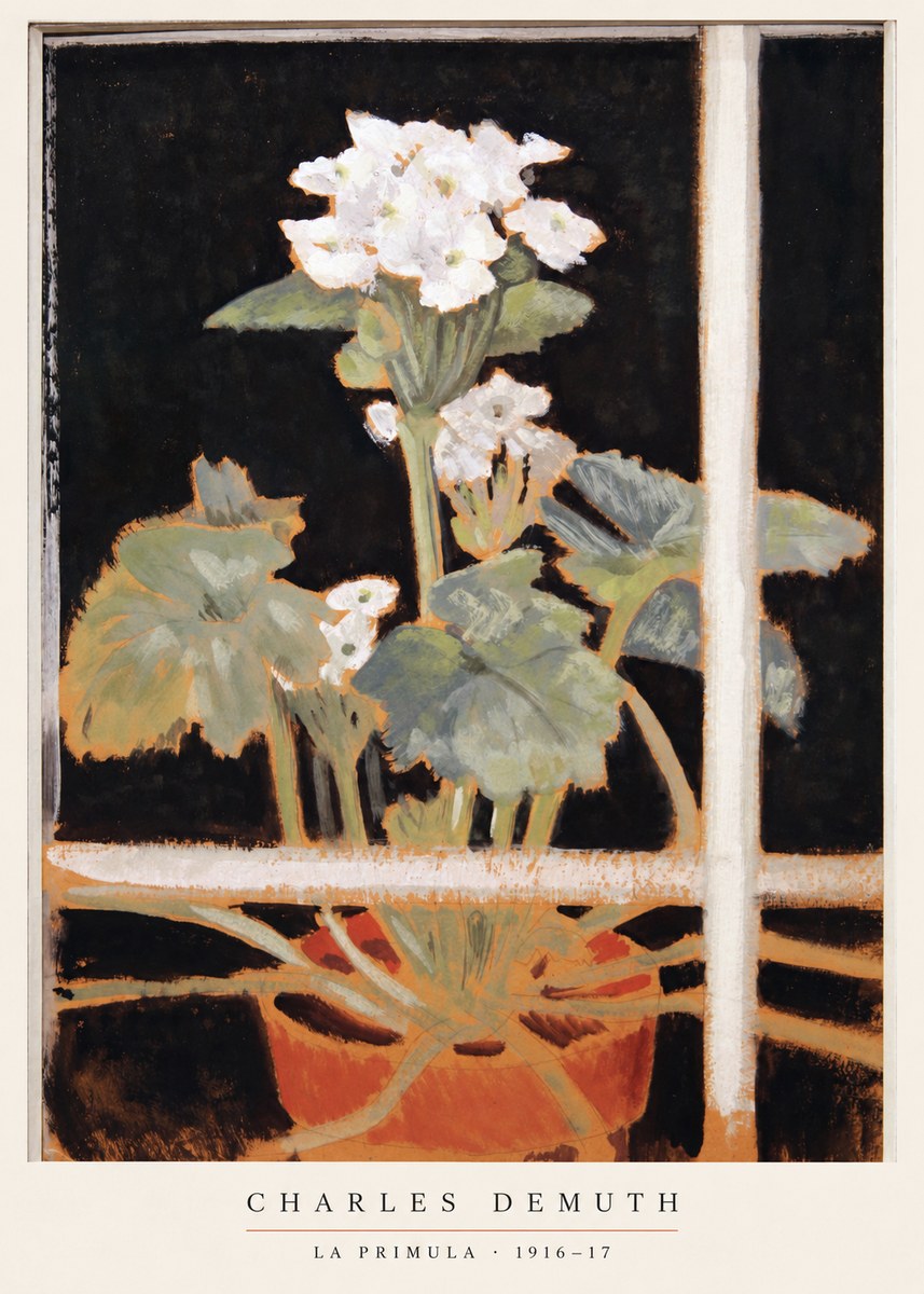 Charles Demuth La Primula No6 - Poszter