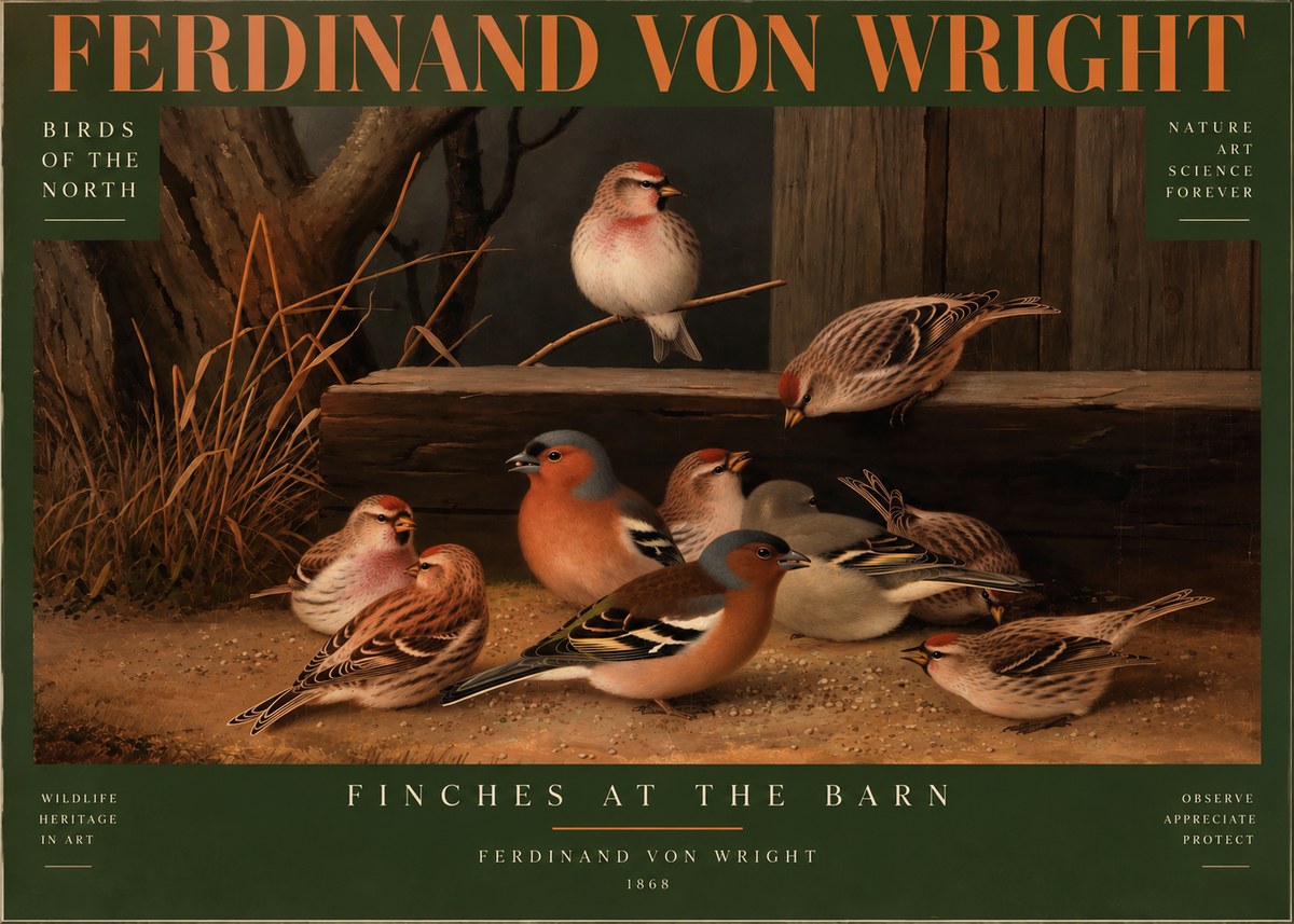 Ferdinand von Wright Finches No4 - Poszter