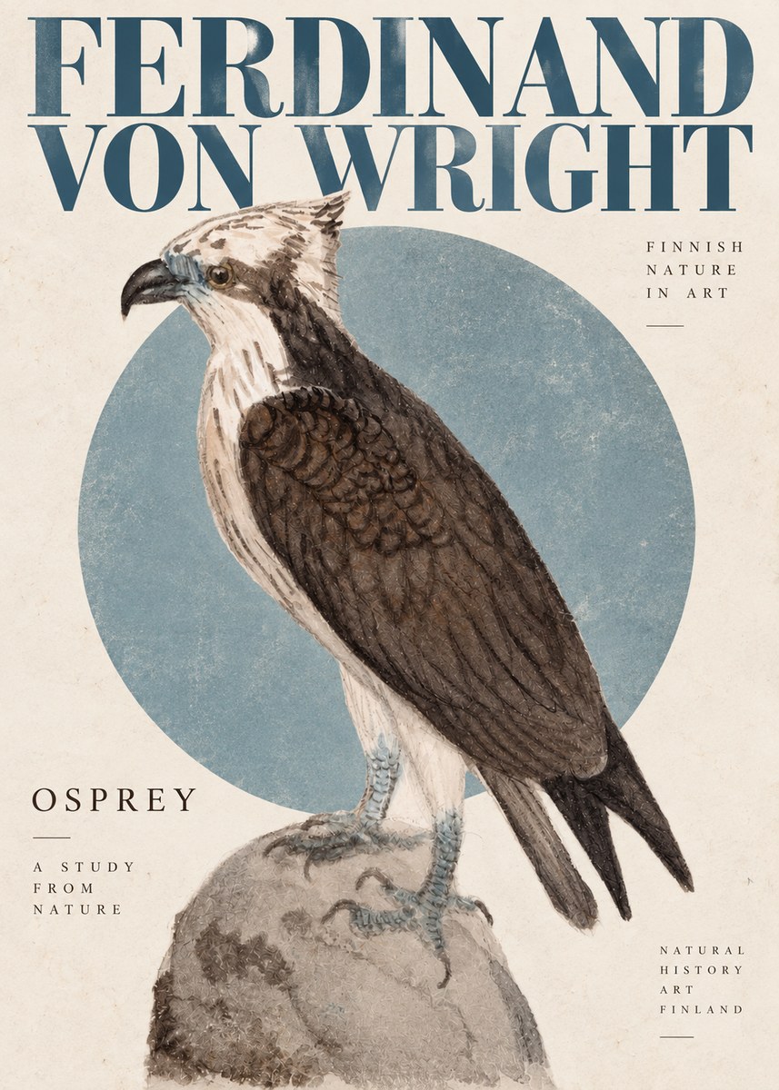 Ferdinand von Wright Osprey No4 - Poszter