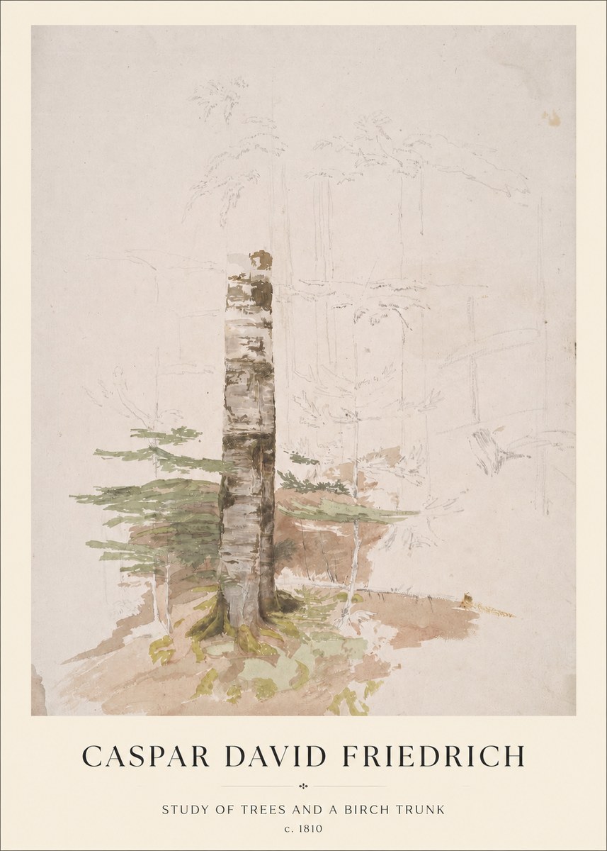 Caspar David Friedrich Study of Trees and a Birch Trunk No1 - Poszter