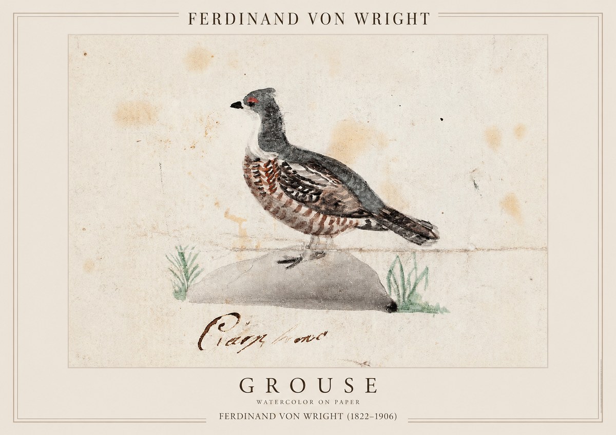 Ferdinand von Wright Grouse No1 - Poszter