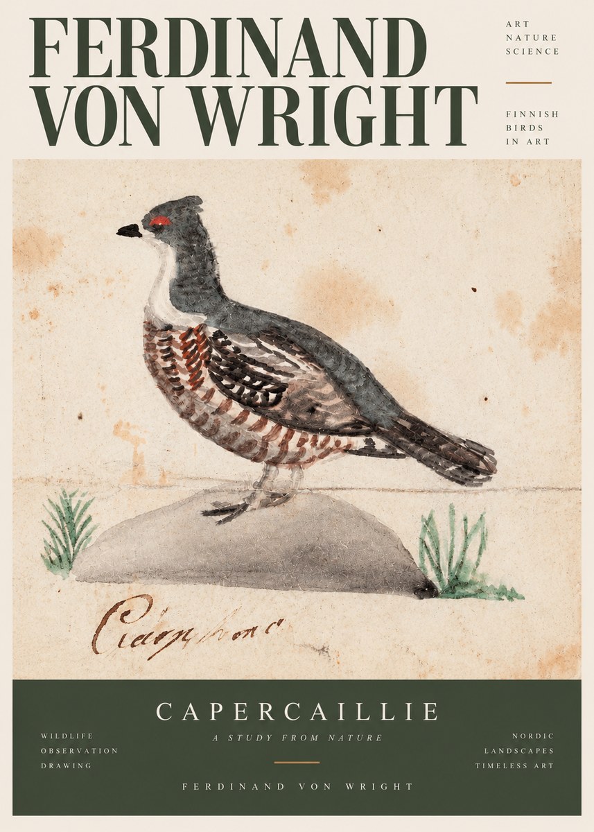 Ferdinand von Wright Grouse No3 - Poszter