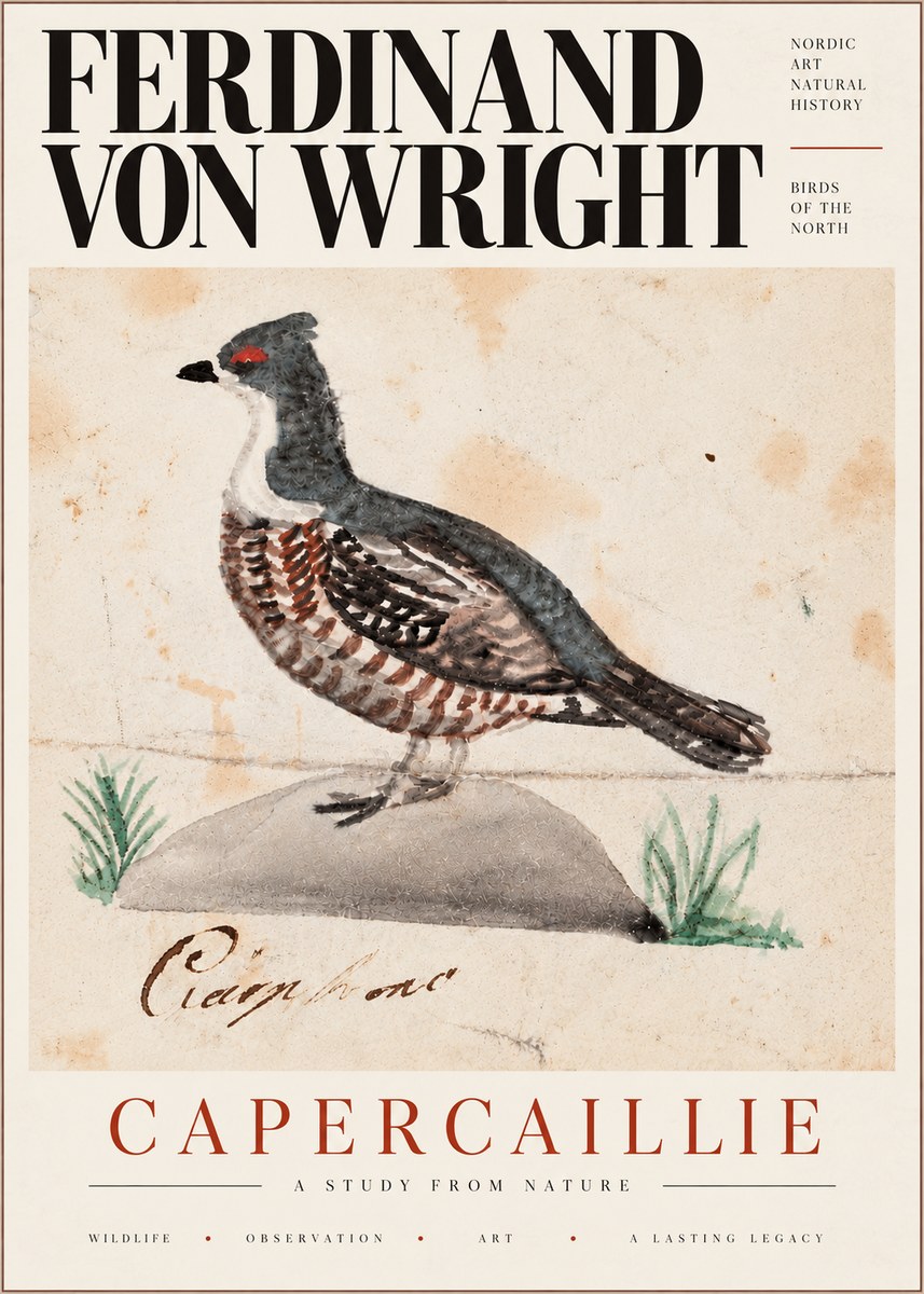 Ferdinand von Wright Grouse No6 - Poszter