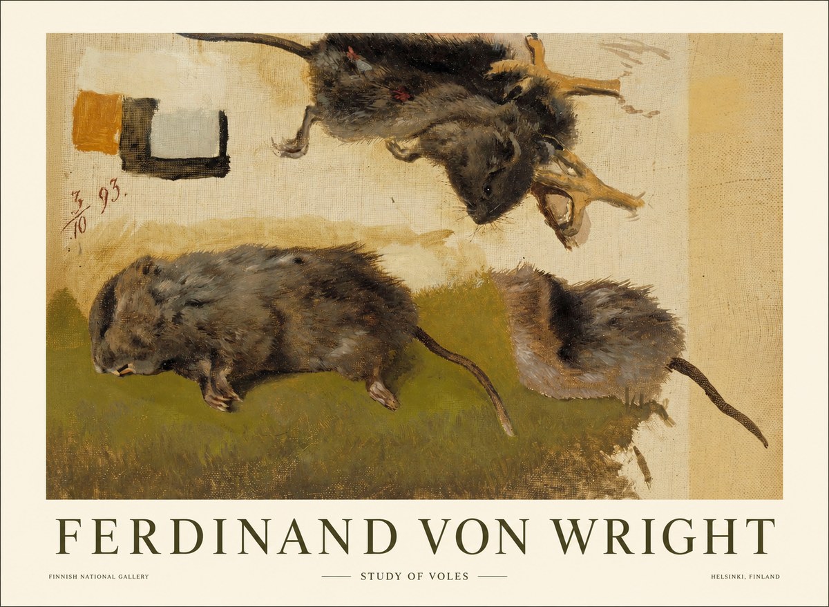 Ferdinand von Wright Studies of Lemmings No2 - Poszter