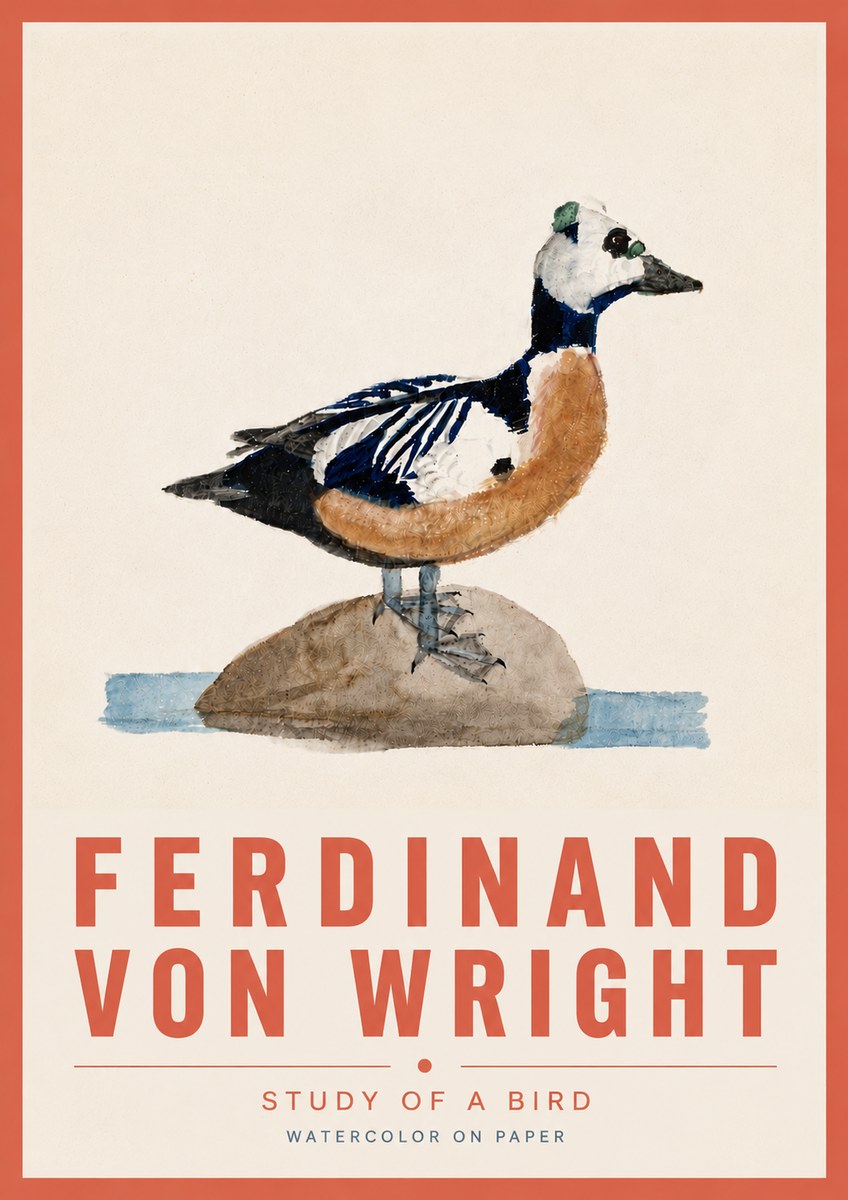 Ferdinand von Wright Study of a Bird No6 - Poszter