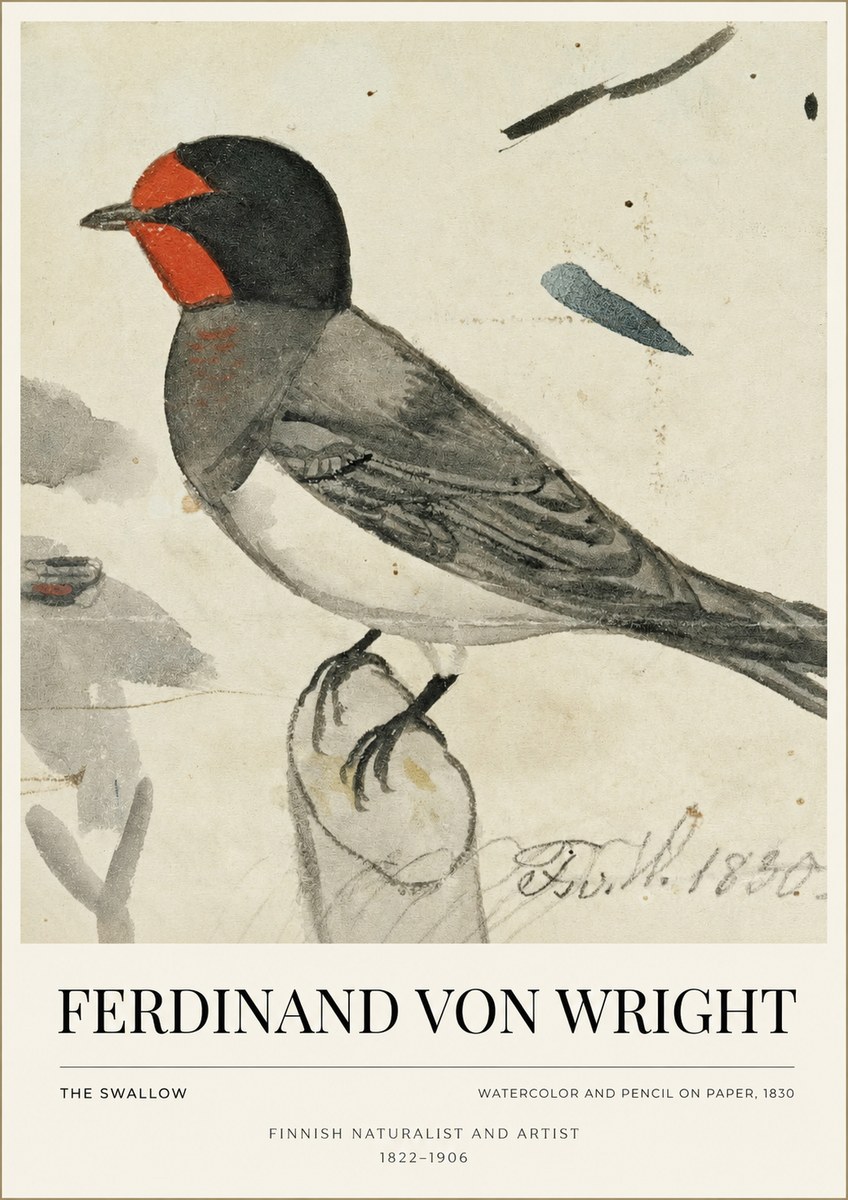 Ferdinand von Wright The Swallow No1 - Poszter
