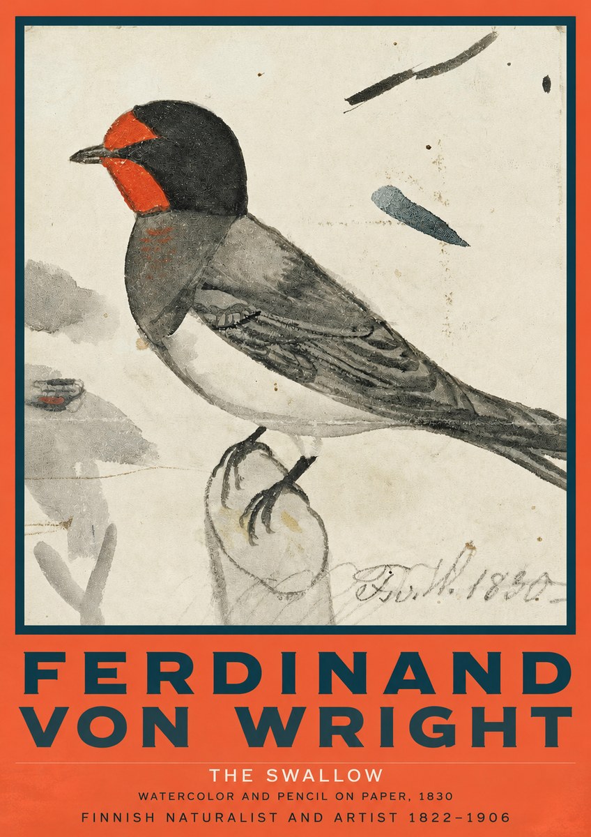 Ferdinand von Wright The Swallow No2 - Poszter