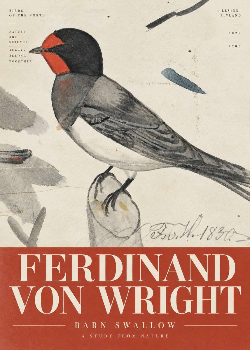 Ferdinand von Wright The Swallow No6 - Poszter