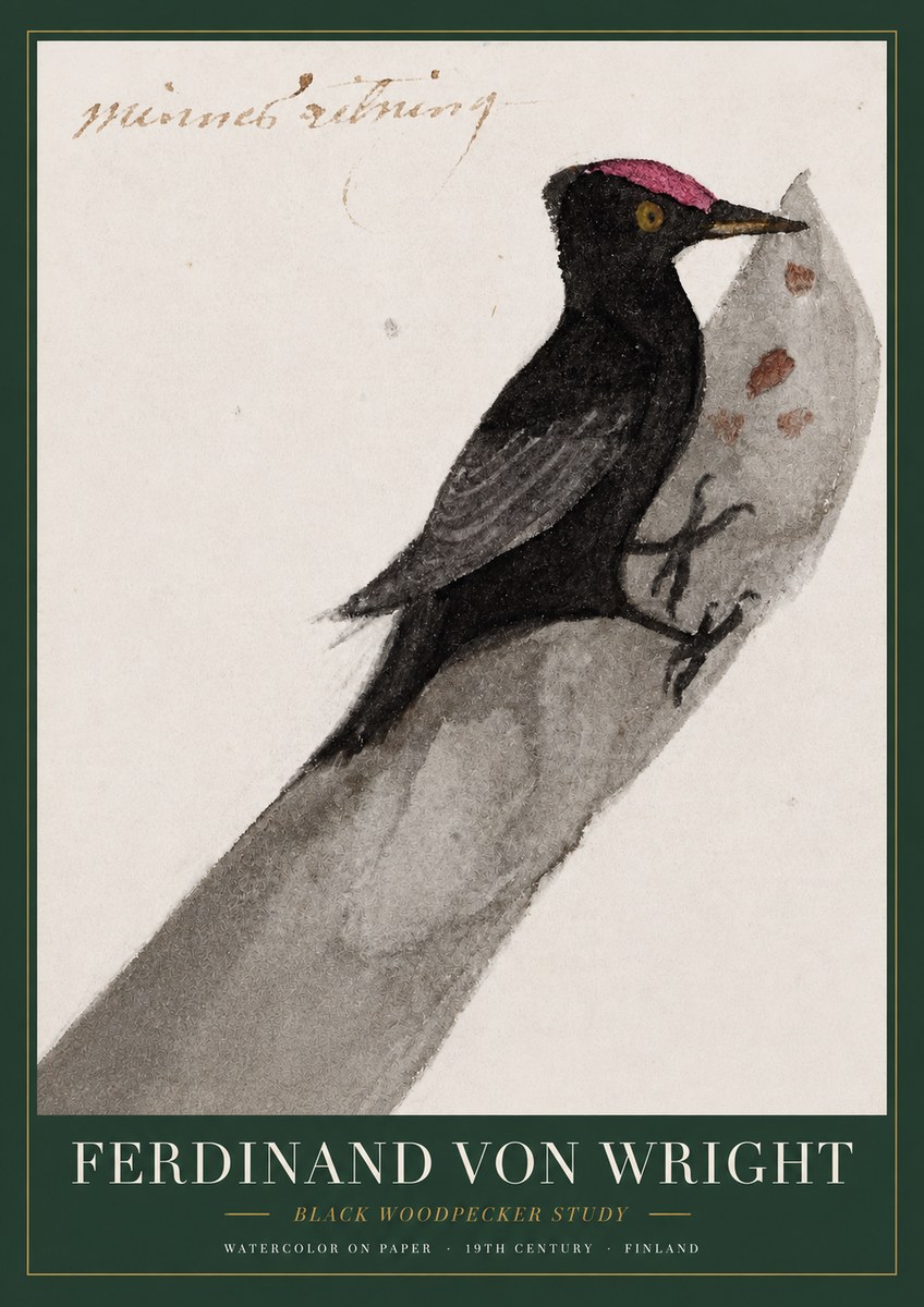Ferdinand von Wright Black Woodpecker Study No3 - Poszter
