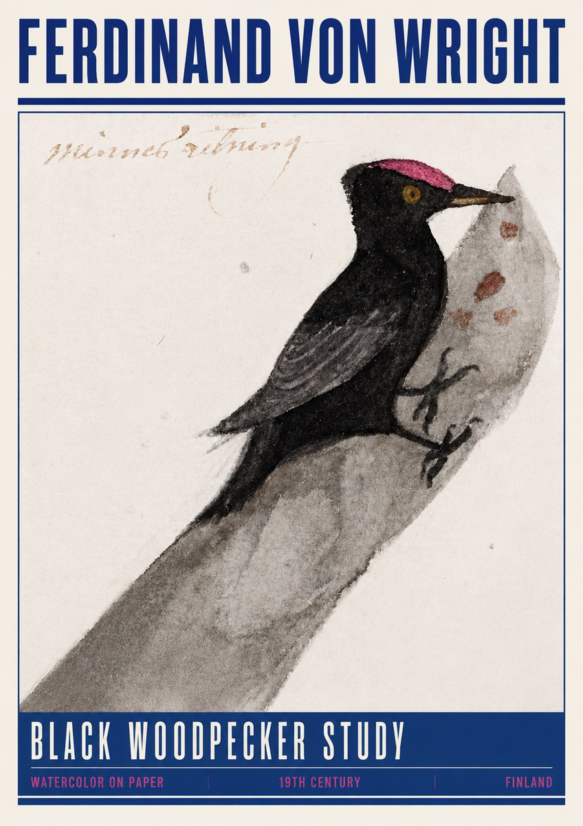 Ferdinand von Wright Black Woodpecker Study No4 - Poszter