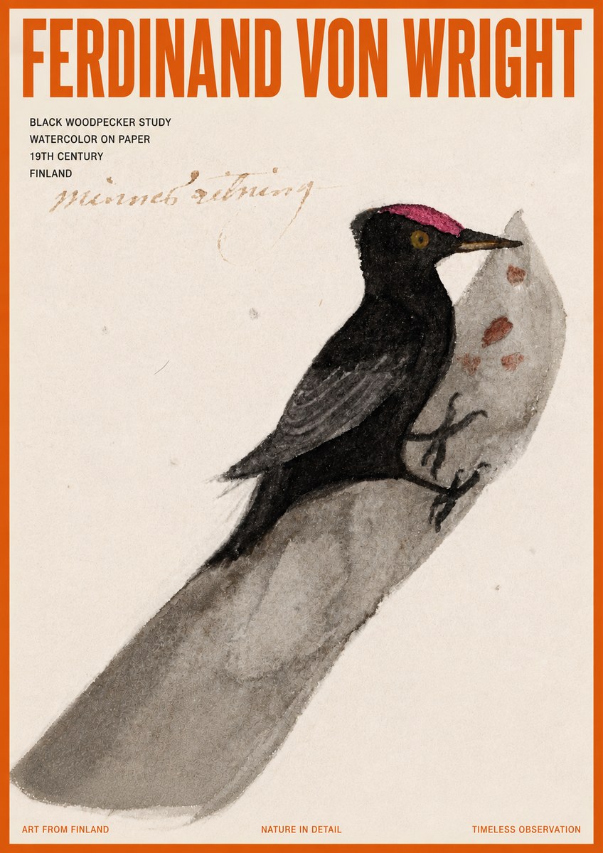 Ferdinand von Wright Black Woodpecker Study No5 - Poszter