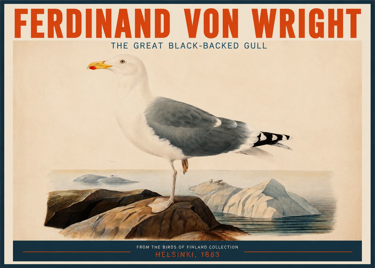 Ferdinand von Wright The Great Black-backed Gull No2 - Poszter