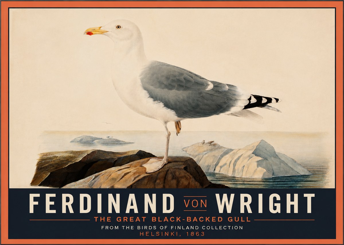 Ferdinand von Wright The Great Black-backed Gull No4 - Poszter