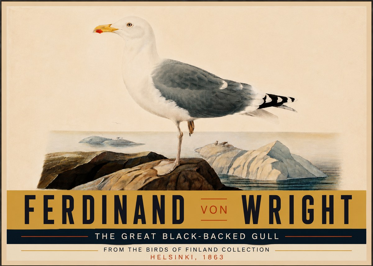 Ferdinand von Wright The Great Black-backed Gull No6 - Poszter