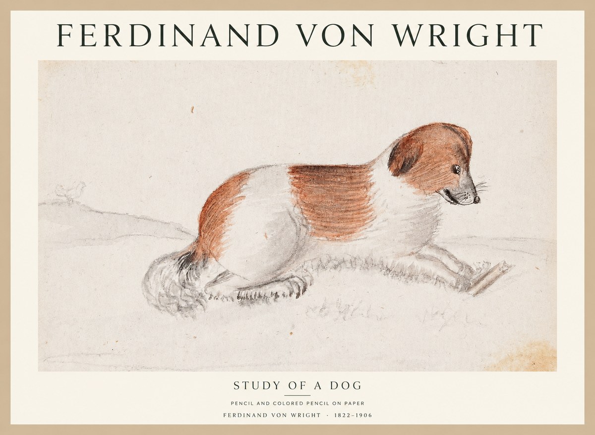 Ferdinand von Wright Study of a Dog No1 - Poszter