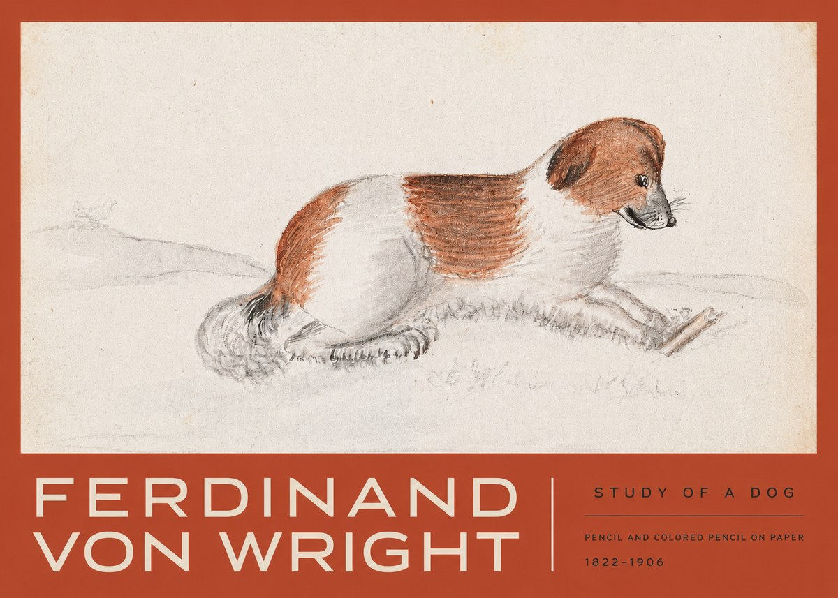 Ferdinand von Wright Study of a Dog No3 - Poszter