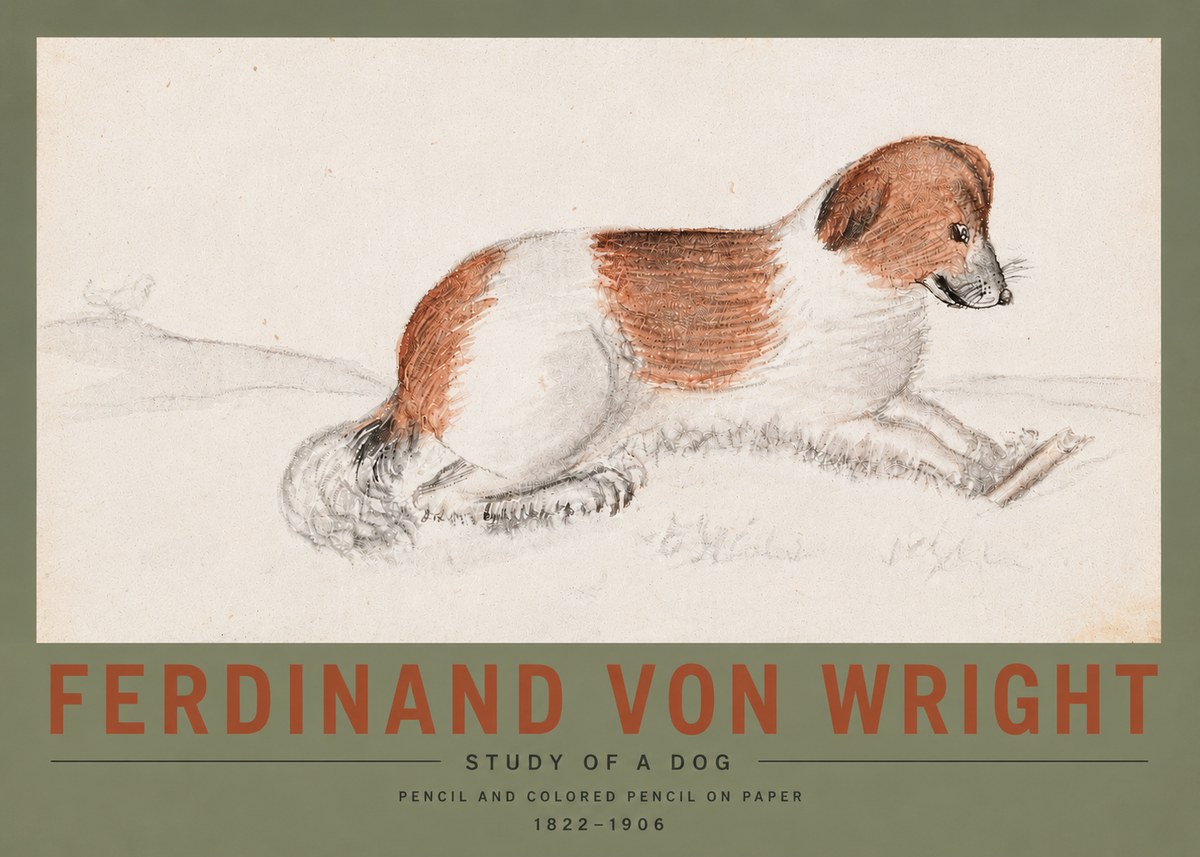 Ferdinand von Wright Study of a Dog No5 - Poszter