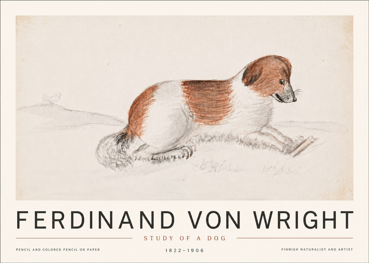 Ferdinand von Wright Study of a Dog No6 - Poszter