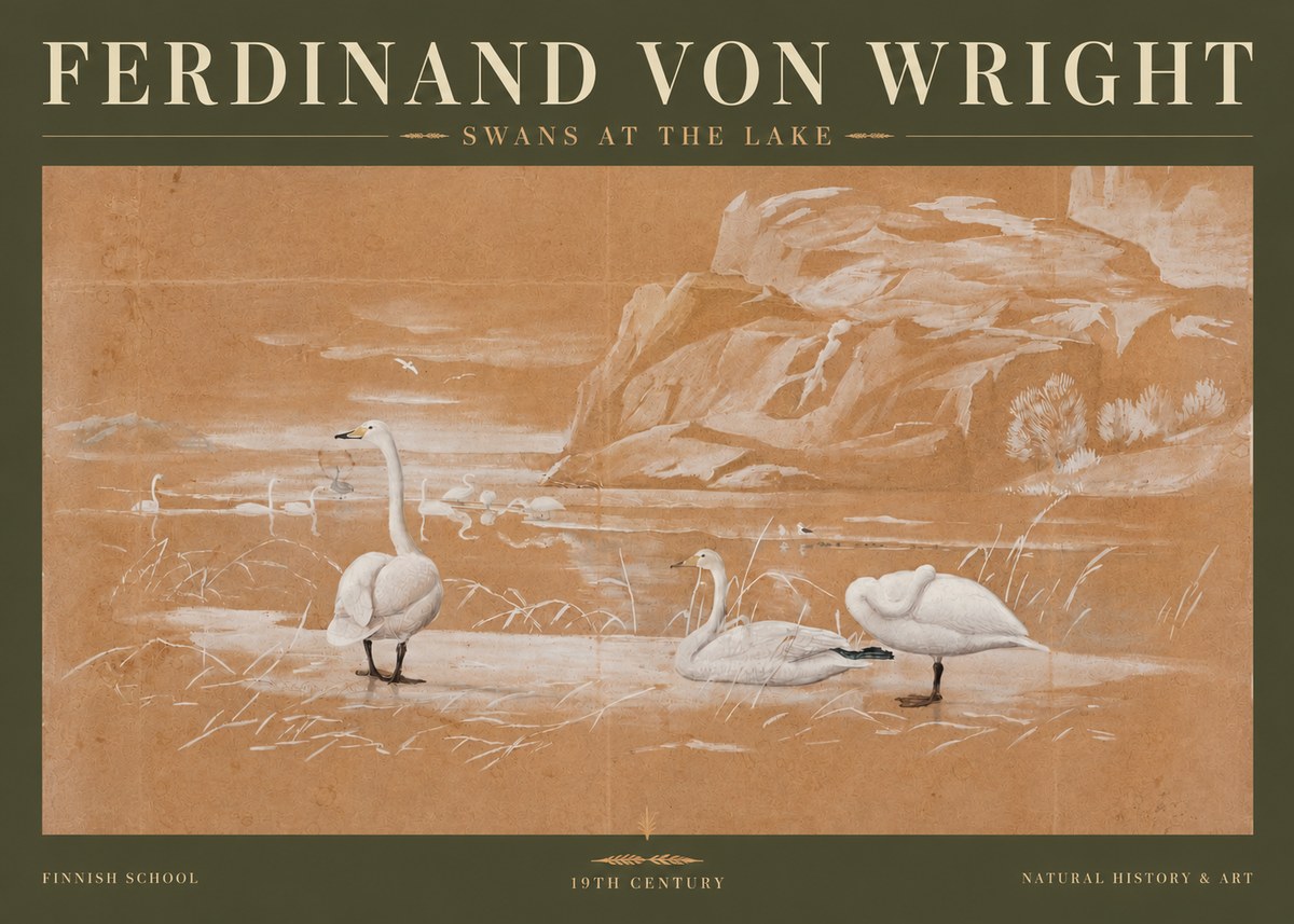 Ferdinand von Wright Swans at the Lake No3 - Poszter