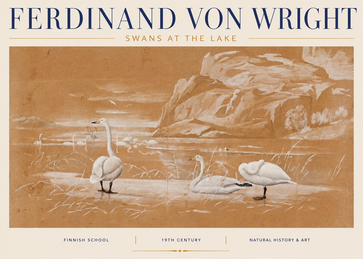 Ferdinand von Wright Swans at the Lake No4 - Poszter