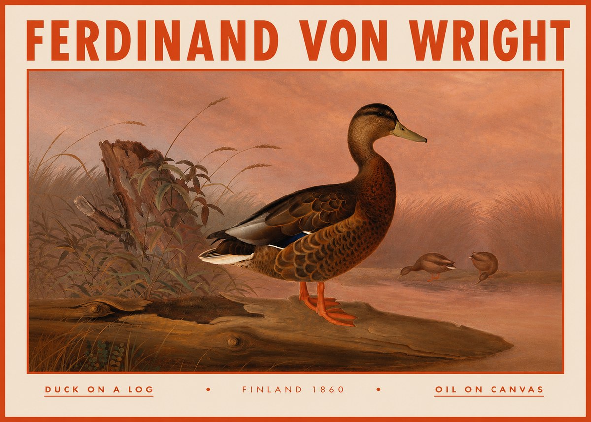 Ferdinand von Wright Wild Duck No5 - Poszter