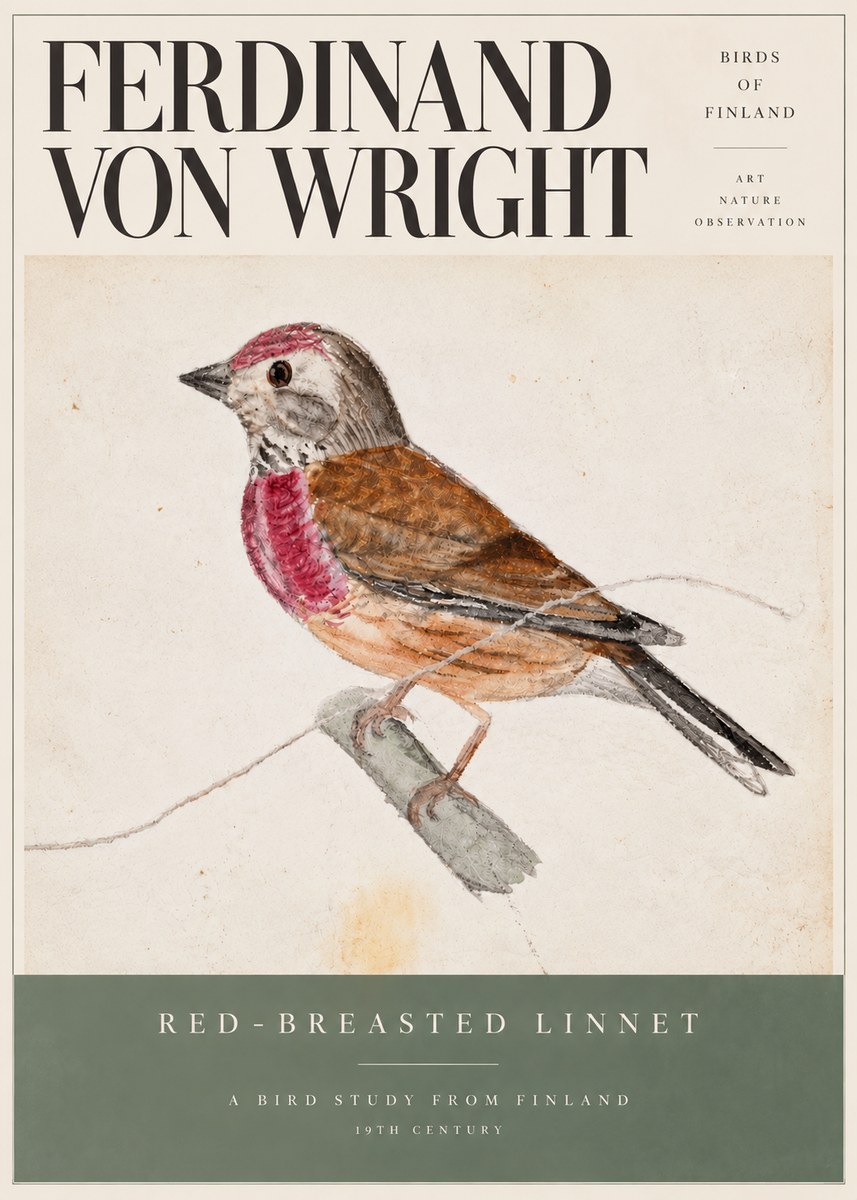 Ferdinand von Wright Bird Study No6 - Poszter